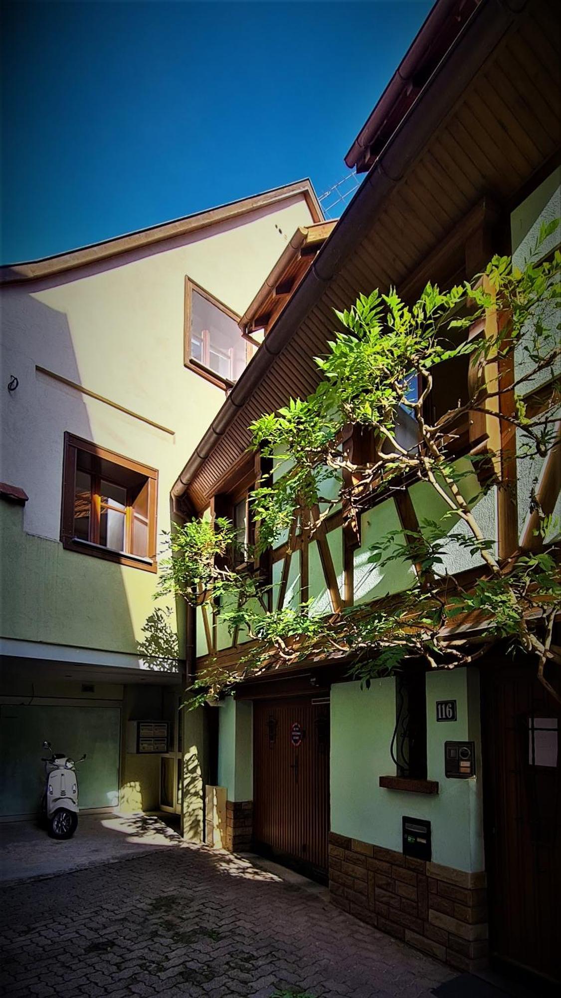 דירות אוברנאי Duplex Au Centre Avec Parking - L'Etoile מראה חיצוני תמונה